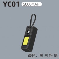 YC01